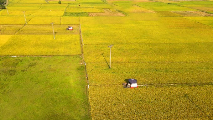 Việc chuyển đổi mục đích sử dụng đất trồng lúa nhằm triển khai các dự án, công trình trọng điểm và chuyển đổi sang mục đích sử dụng khác tại Hà Nội hiện đang đạt tỷ lệ thấp. Ảnh: Internet