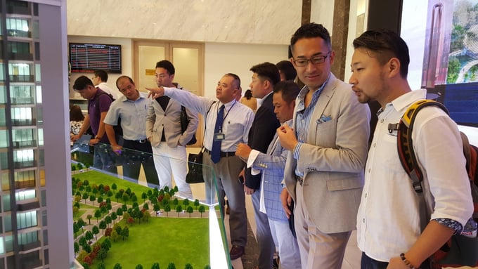 Ảnh minh hoạ &nbsp;