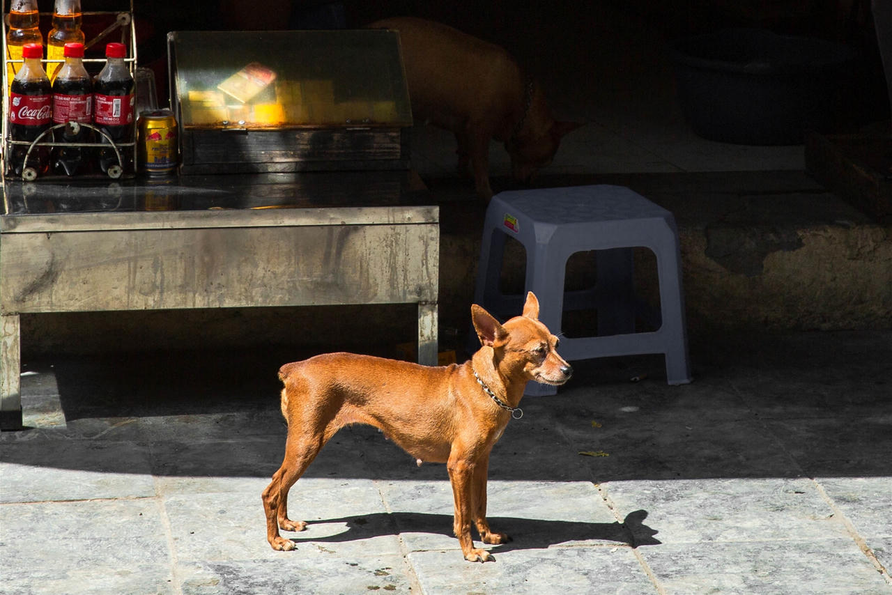 Hà Nội lung linh trong sắc Thu – Đẹp đến từng góc phố