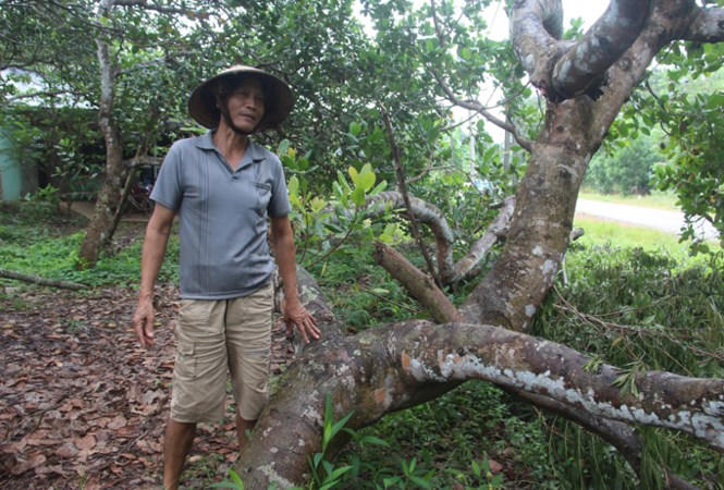 Vén màn cơn sốt đất Long Thành: Ở đậu trên đất của mình