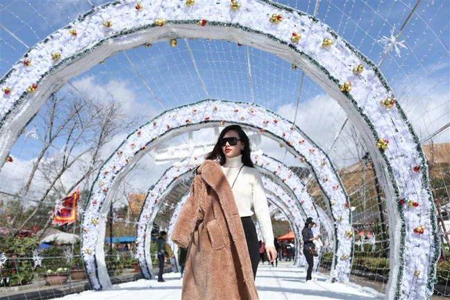 Hang ngan du khach do ve Fansipan, hao huc check-in cay thong anh sang khong lo