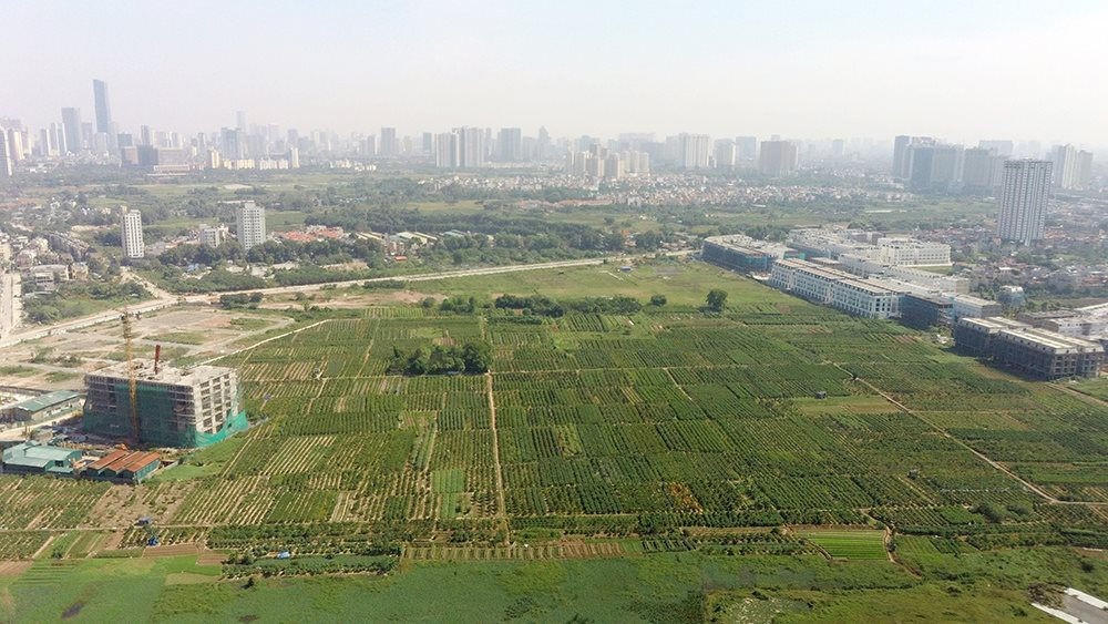 Hải Phòng: ban hành quy định về bồi thường, thu hồi đất