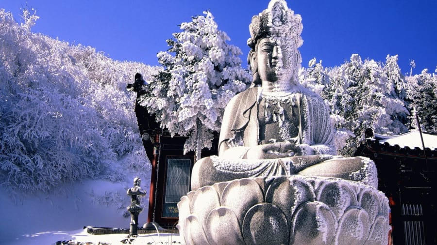 đảo Jeju thơ mộng -tinnhanhnhadat.vn