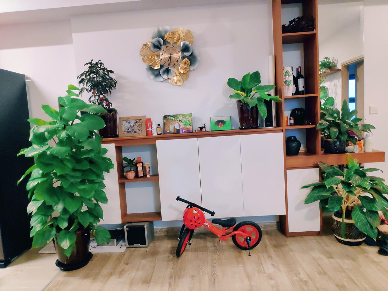 Cần lưu ý điều gì khi nuôi dưỡng cây xanh trong nhà?