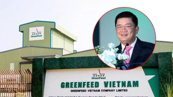 Ông Lý Anh Dũng là Chủ tịch HĐQT, kiêm Tổng giám đốc của GreenFeed Việt Nam.