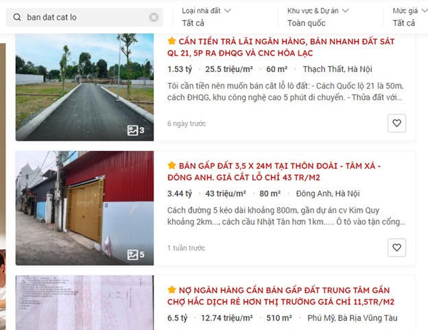 Cụm từ “bán đất cắt lỗ” được tìm kiếm trên chuyên trang Batdongsan.com.vn. &nbsp;