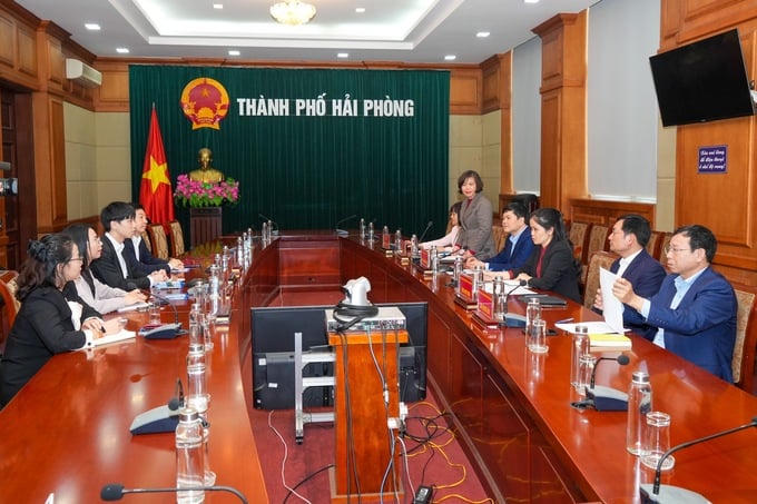 Buổi làm việc của UBND TP. Hải Phòng và Tập đoàn Sunwah