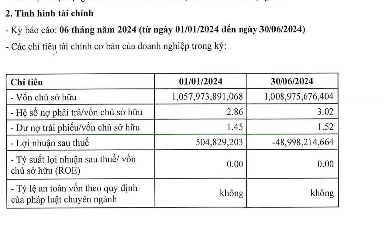 Tình hình tài chính 6 tháng đầu năm 2024 của Danh Việt &nbsp;
