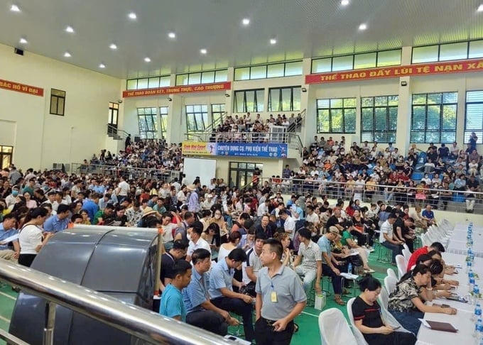 Buổi đấu giá tại huyện Thanh Oai vào ngày 10/8 (nguồn ảnh: Báo Dân Việt)&nbsp;