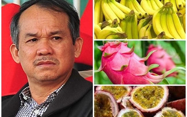 Bán nhà không trả hết nợ, đại gia ô tô cùng đường bị thu hồi đất đai