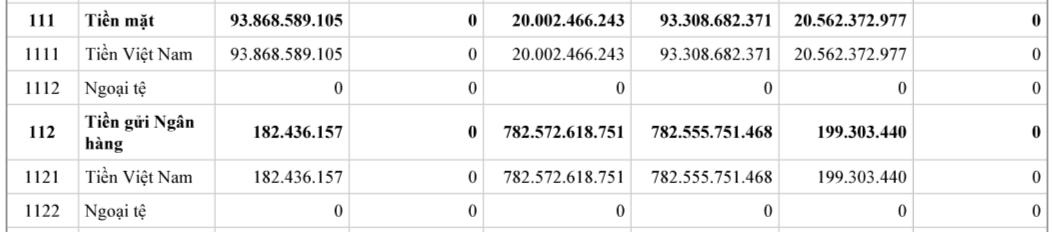 Công ty RubyLand có hơn 20,5 tỷ đồng tiền mặt đến thời điểm cuối năm 2023