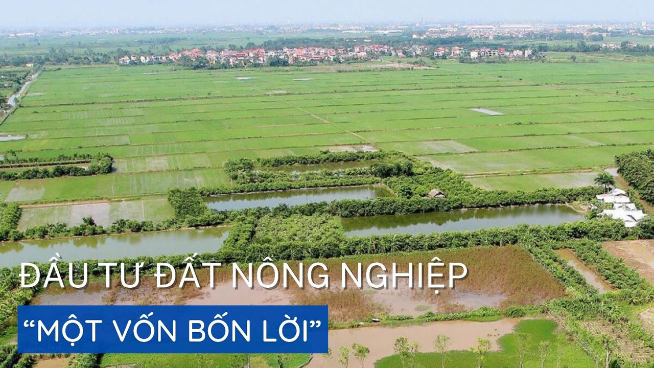 Đầu tư đất nông nghiệp “một vốn bốn lời”