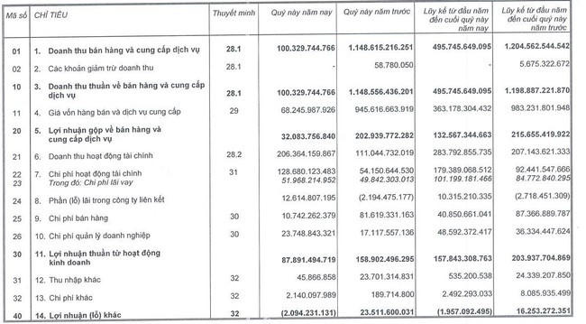 Nguồn: BCTC TTC Land. &nbsp;