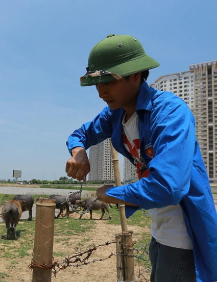 Phận người sau những cuộc ôm đất vội vàng