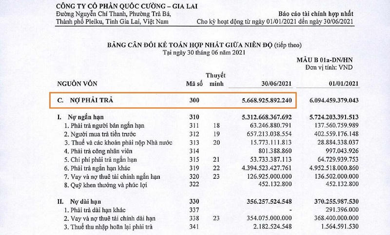 Nguồn: BCTC hợp nhất soát sét 6 tháng đầu năm của Quốc Cường Gia Lai. &nbsp;