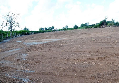 Bà Rịa - Vũng Tàu: Kiên quyết xử lý nghiêm nạn phân lô bán nền trái phép