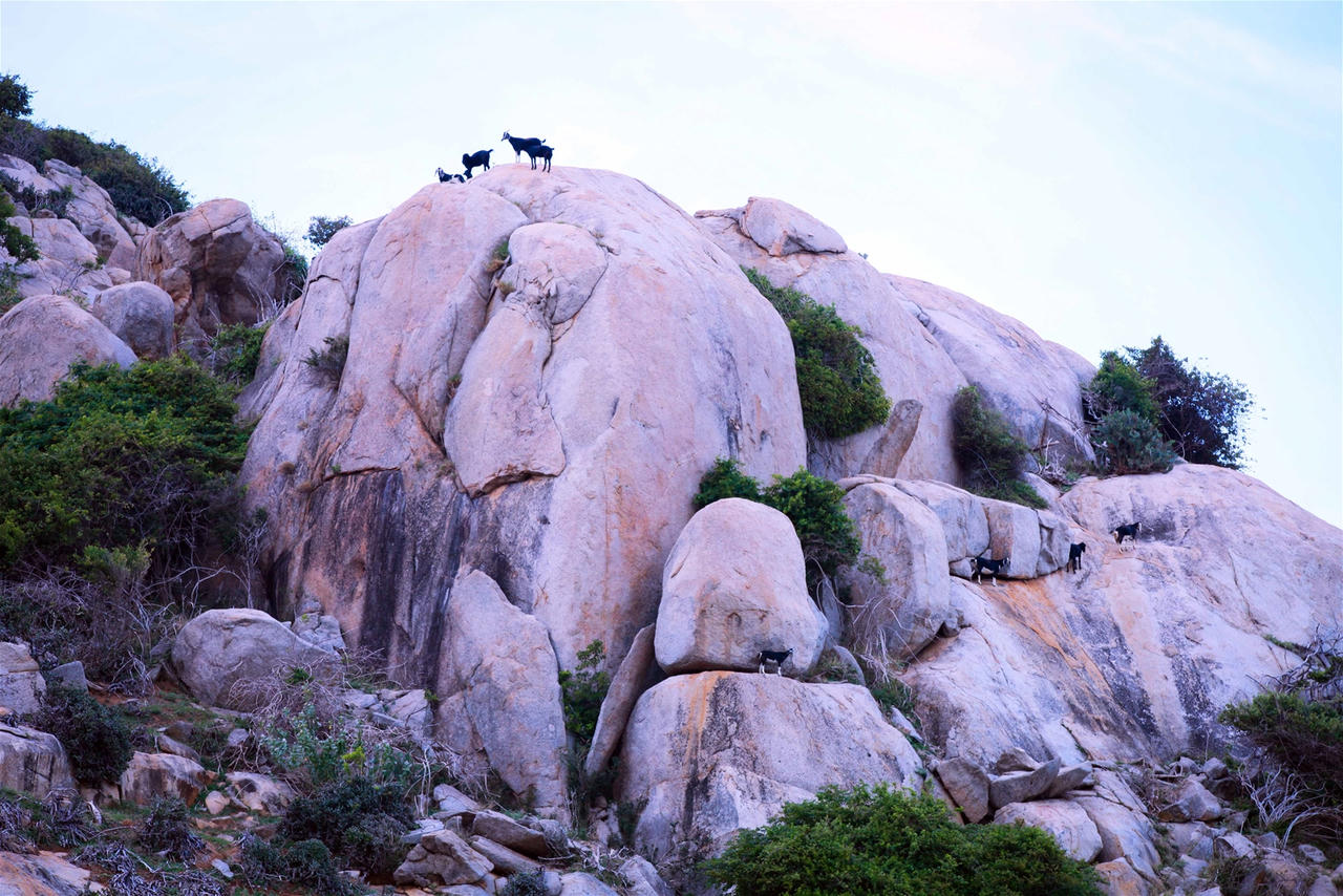 Vẻ đẹp của “tiểu sa mạc Sahara” phiên bản Việt ở mũi Dinh