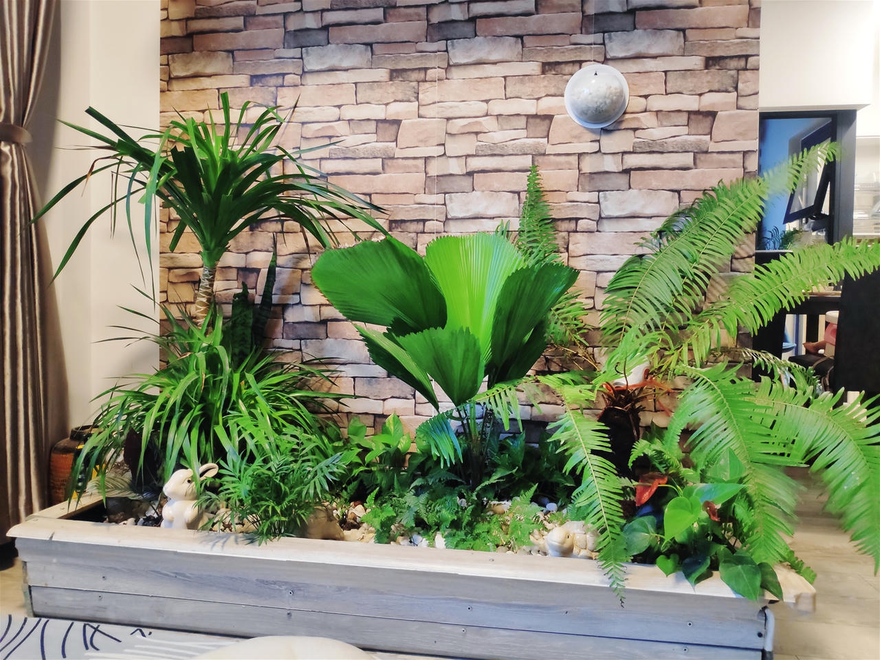 Cần lưu ý điều gì khi nuôi dưỡng cây xanh trong nhà?