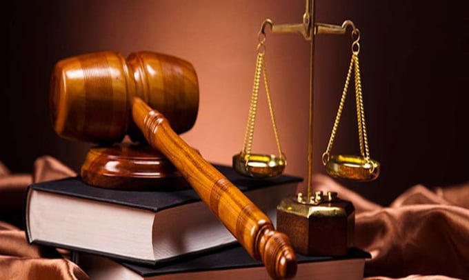 Vi phạm pháp luật về đất đai, xây dựng dự án, hàng loạt lãnh đạo của tỉnh bị xử phạt