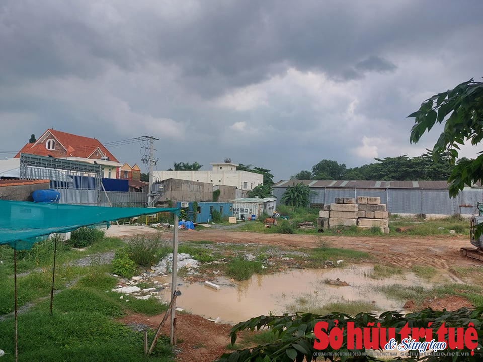 Bên trong dự án&nbsp;Tecco Felice Homes, cỏ mọc um tùm, một vài máy móc và vật liệu xây dựng nằm ngổn ngang. &nbsp;