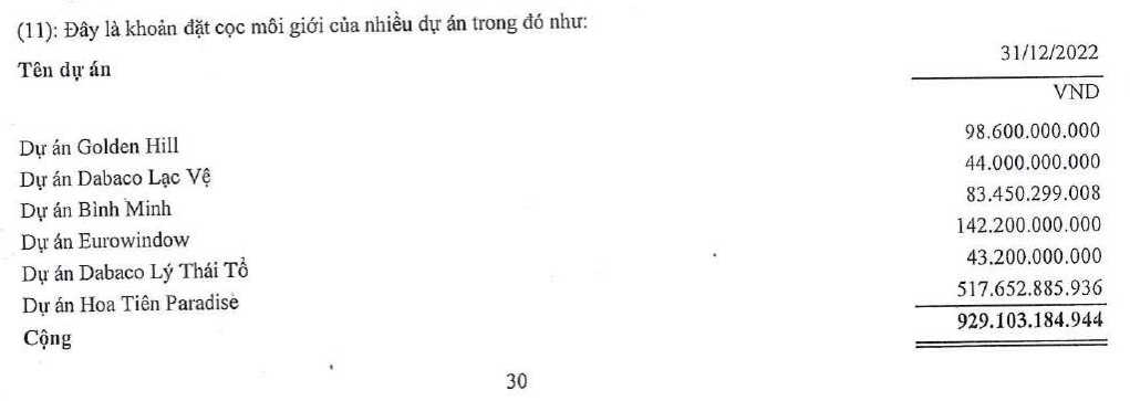 Bất động sản Thế Kỷ âm thầm đặt cọc nhiều dự án trong năm 2022