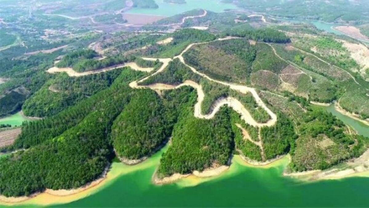 Dự án Sài Gòn Đại Ninh (ảnh minh họa)