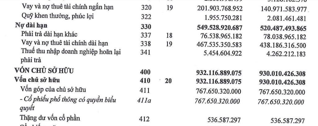 Tổng nợ vay của Halcom Việt Nam gần 669,44 tỷ đồng, hiện chiếm tới 82,3% nợ phải trả của công ty.