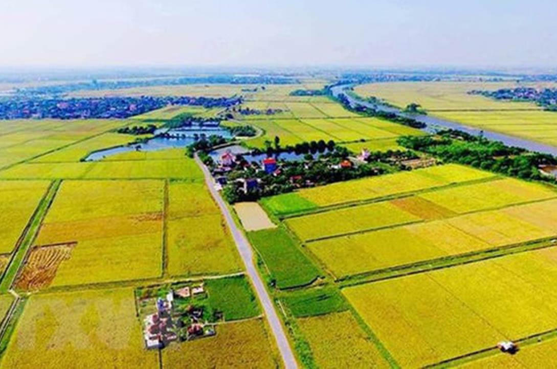 Tiền chuyển đất nông nghiệp sang đất ở: Có thể giảm còn 30 - 50%