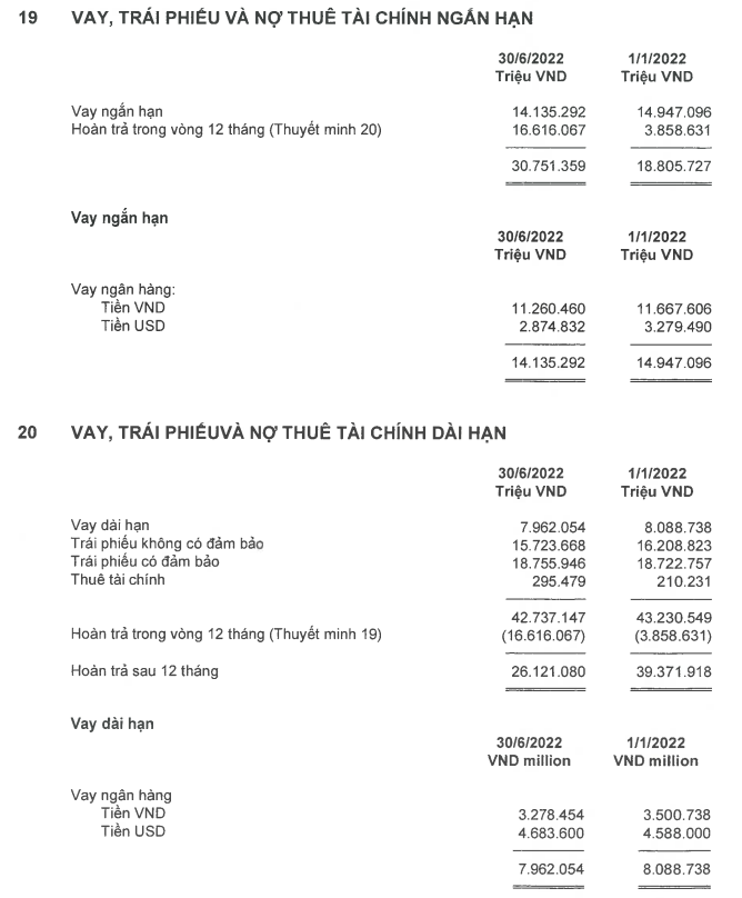 Vay, thuê tài chính dài hạn và ngắn hạn