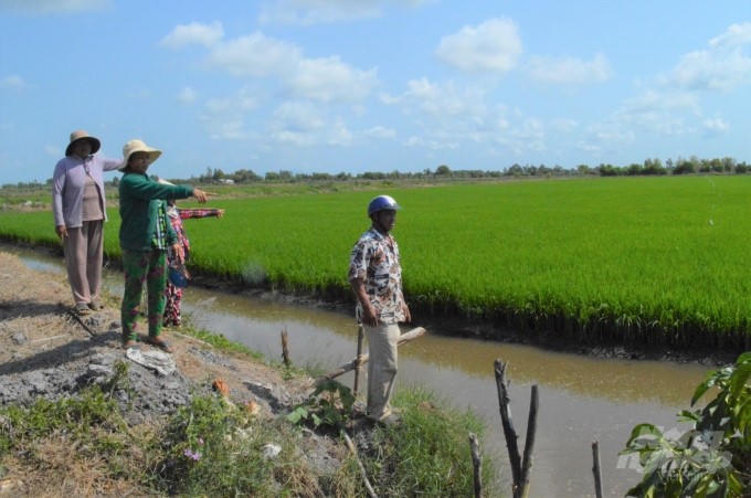 Cảnh báo nhiều thủ đoạn tạo ‘sốt đất’ nhằm trục lợi tại vùng nông thôn ở Đà Nẵng