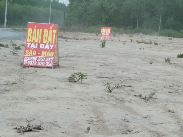 Quảng Bình xử lý việc phân lô, bán nền đất nông, lâm nghiệp trái phép (Ảnh minh họa) &nbsp;