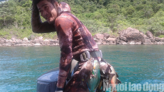 Ra Phú Quốc, ngất ngây lặn biển đâm cá, ngắm san hô ở Hòn Gầm Ghì - Ảnh 21.