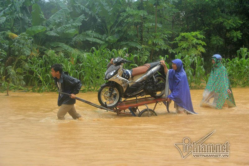 Trăm xe lặn ngụp giữa biển nước lũ Hòa Bình