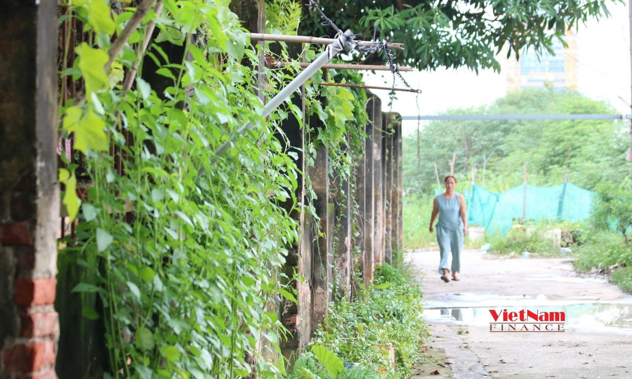 Khu nhà đang dần xuống cấp trầm trọng, người dân luôn sống trong thấp thỏm lo âu, đi không được, ở cũng không xong.