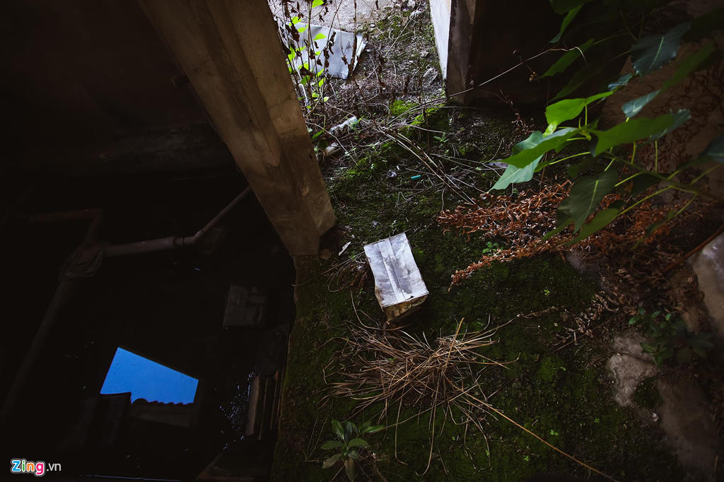 Loạt biệt thự tiền tỷ bỏ hoang cả 10 năm cạnh cao tốc ở quận 9