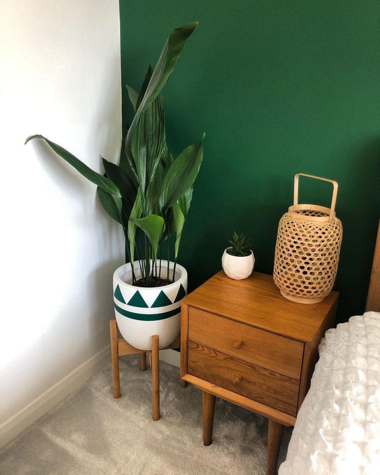 Các cách đơn giản và tiết kiệm để đưa thiên nhiên vào ngôi nhà