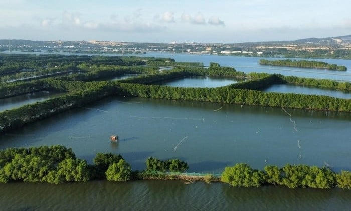 Khu vực Đầm Thị Nại &nbsp;