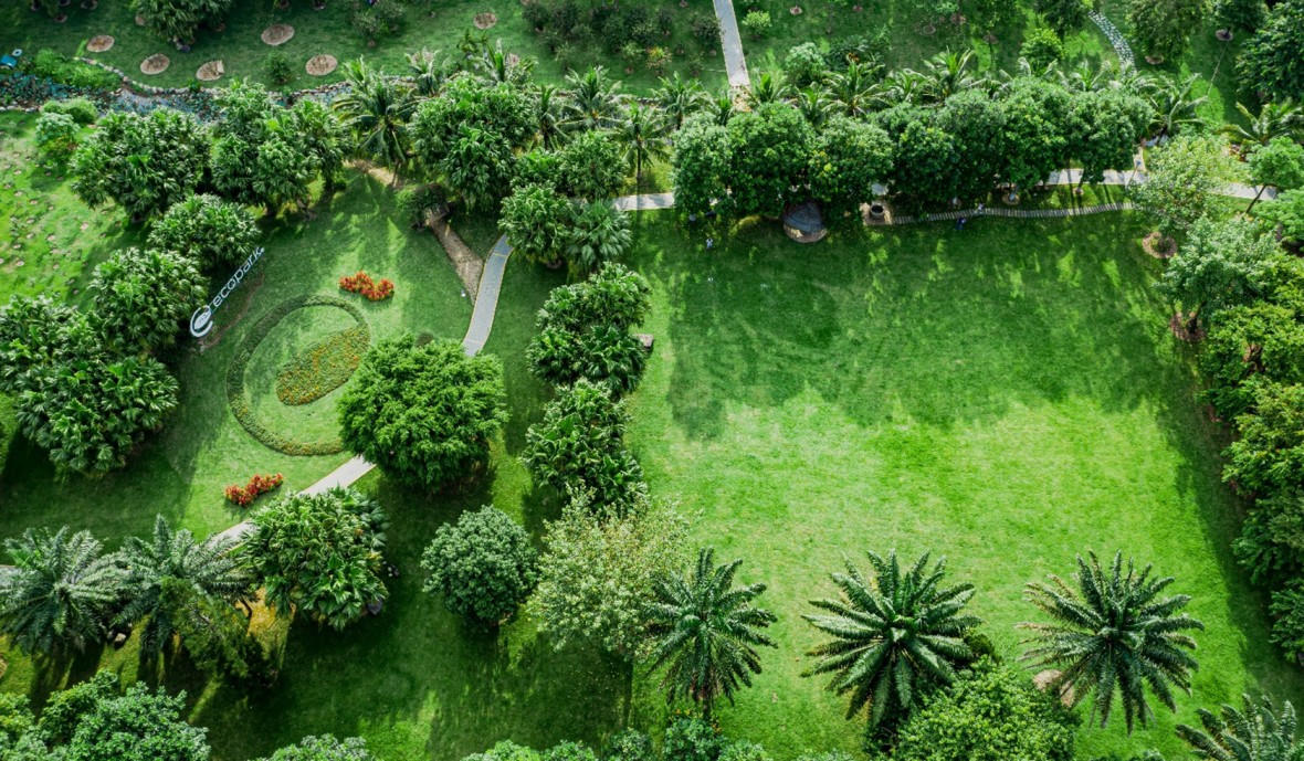 Những mảng rừng xanh vun đắp tâm hồn tại KĐT Ecopark