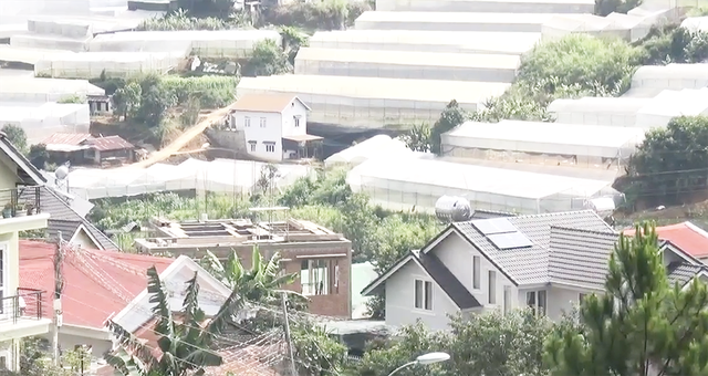 Giá đất Đà Lạt bị cò 'hét giá' lên 1 tỷ đồng/m2