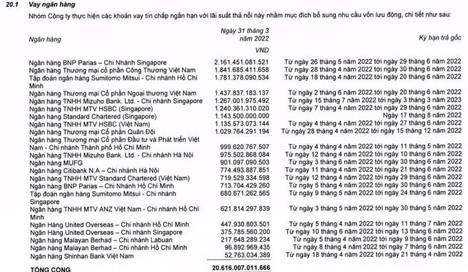 Bách Hoá Xanh lỗ hơn 4.000 tỷ đồng, Thế giới di động vẫn cố bơm vốn cứu và niêm yết