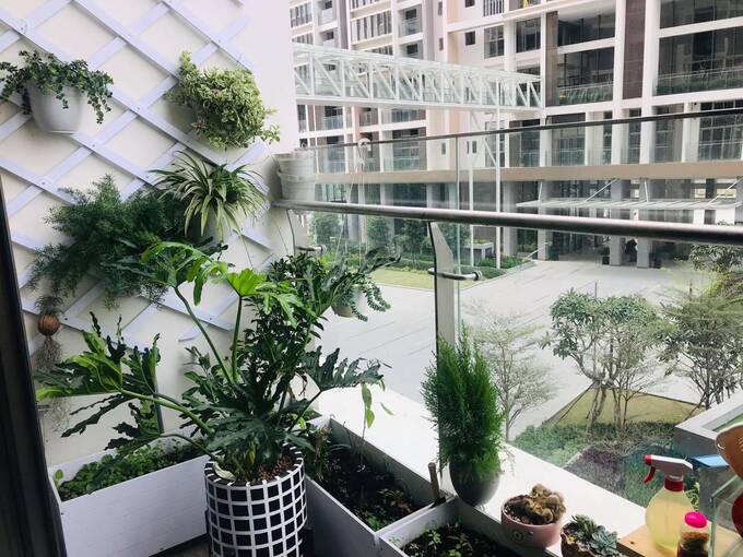 Quyết định xuống tiền mua chung cư, cần ghi nhớ rõ 5 điều