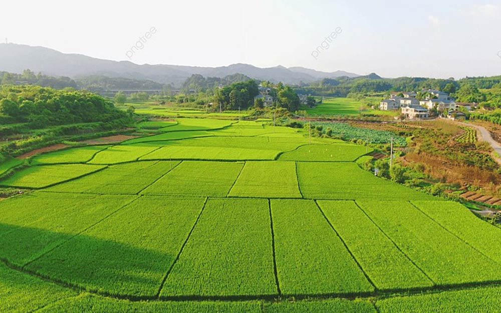 Đồng loạt kiến nghị giảm sâu tiền sử dụng đất cho người dân