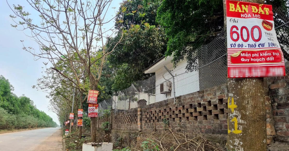 Dù cắt lỗ nhưng giá bán vẫn neo ở mức cao, hạ tầng chưa tương xứng