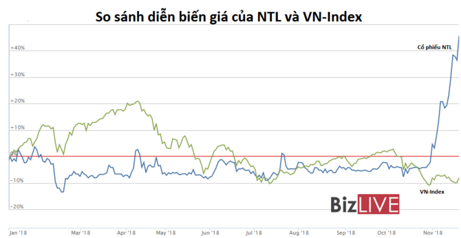 Đằng sau diễn biến tăng giá phi thường của cổ phiếu NTL 