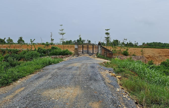 Xử lý nghiêm các trường hợp san đồi núi, lấp hồ ao để phân lô, bán nền.