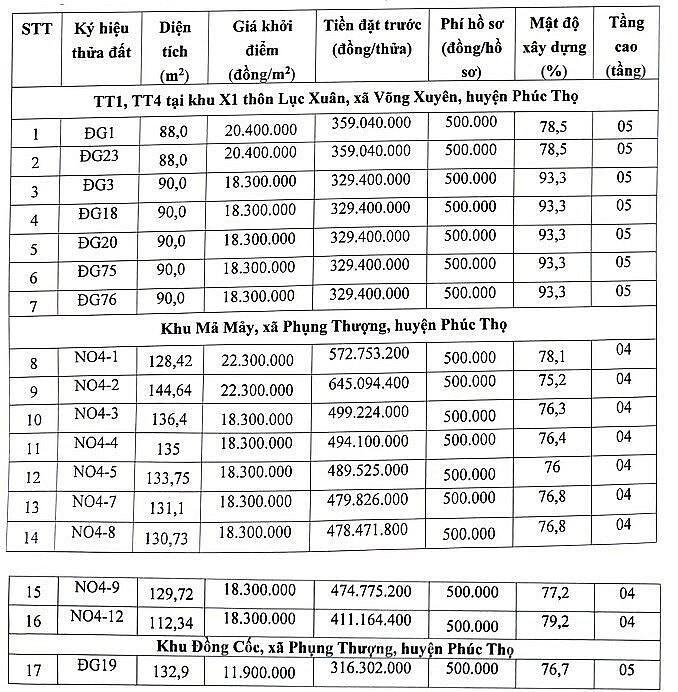 Thông tin 17 thửa đất mang ra đấu giá. (Ảnh chụp màn hình). &nbsp;