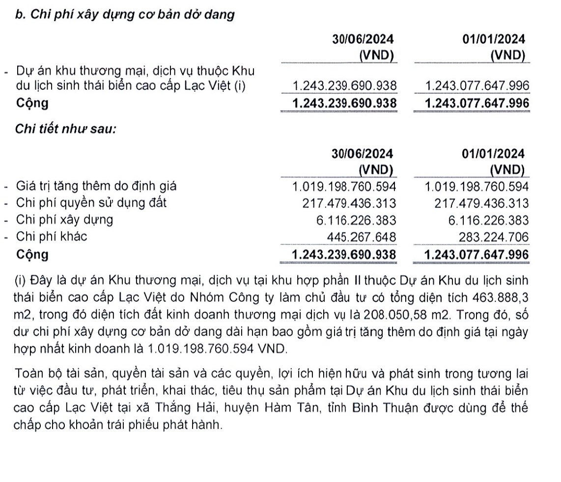 Báo cáo tài chính quý II/2024 &nbsp;