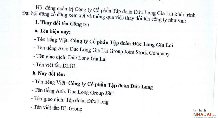 Nguồn: Tài liệu ĐHĐCĐ thường niên 2021 của DLG &nbsp;