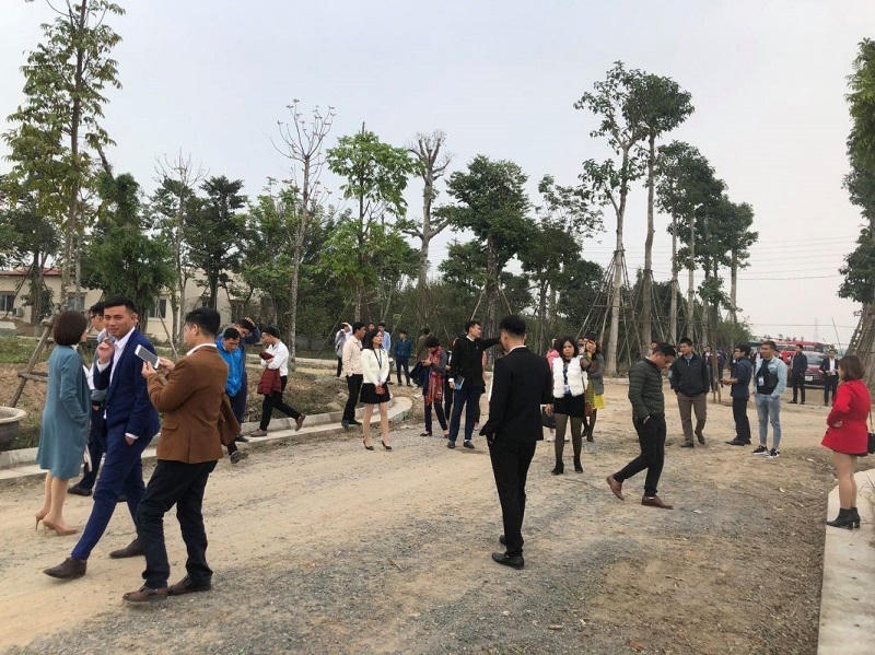 Xu hướng “Nam tiến” không còn, nhà đầu tư Hà Nội đang đổ xô “săn” đất nền ven đô? 