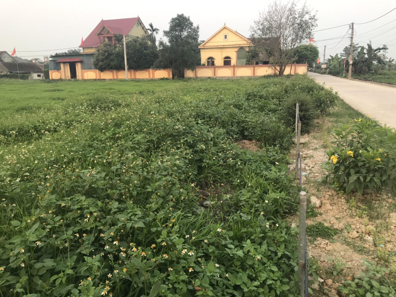 Giá đất nền tại các địa phương gần TP. Vinh như Nghi Lộc, Thái Hòa, Hoàng Mai có giá từ 12 -16 triệu đồng/m2.&nbsp;&nbsp;